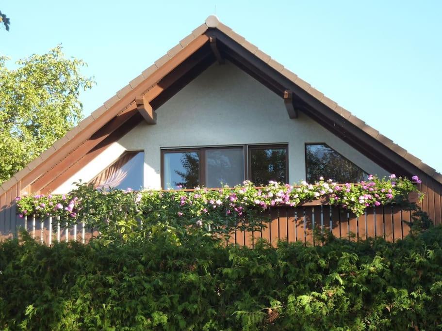 Neu Buch Ferienwohnung Am Stadtrand Von Berlin מראה חיצוני תמונה